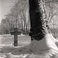 Yashica-A-005-print.jpg