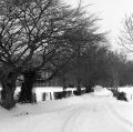 hasselblad-500-cm-008.jpg