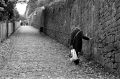 leica-m6-086.jpg