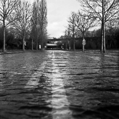 30... cm ?
Mamiya C330 - TriX
Mots-clés: Mamiya C330 TriX