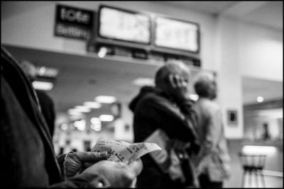 Shelbourne Park - Dog racing 6
