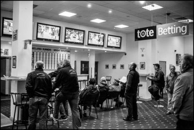 Shelbourne Park - Dog racing 12
