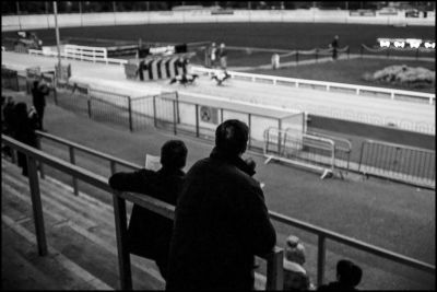 Shelbourne Park - Dog racing 8
