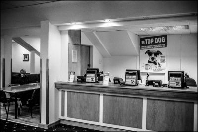 Shelbourne Park - Dog racing 2
