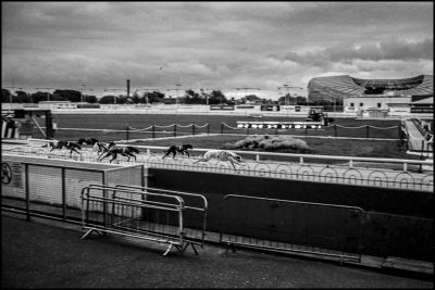 Shelbourne Park - Dog racing 9
