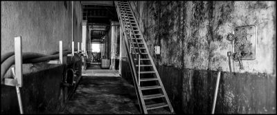 Coop vinicole
Horizon 202 - TriX
