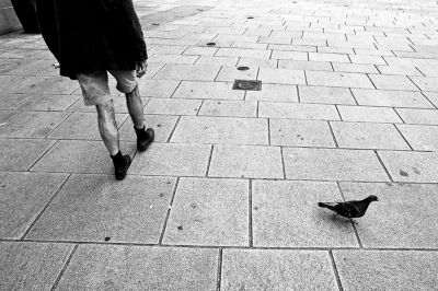Chassé croisé
Nikon FE2 24mm Ais - Rollei Retro 100- Scan de néga
Mots-clés: Nikon FE2 street