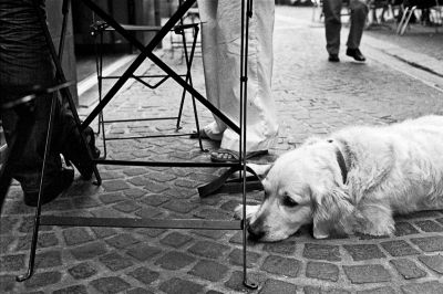 Vie de ...
Konica FS-1 - TriX - scan de néga
Mots-clés: street N&B Konica FS-1 TriX 135