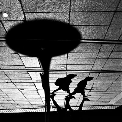 Dark side of the moon
Nikon FE2 - RPX 100@
Mots-clés: Nikon FE2 street ombres