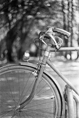 Test : Fuji X-TRA 400@ (C41) / Rodinal
Nikon FE2 + Hélios 44 58mm f2 - Fuji X-TRA 400@ (C41) / Rodinal - scan de néga
