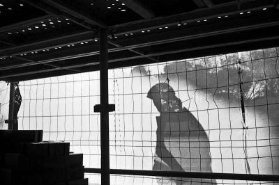 Mister hide
Minox 35 GTE - HP5+ périmée 400@125
Mots-clés: Minox35GTE HP5+périmée street