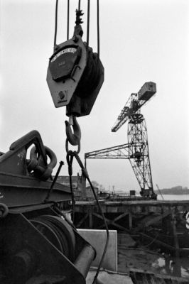 Grues
Nikon FE2 Helios 44M - XP1 périmée dév au rodinal

