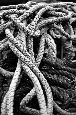 Cordages 2
Nikon FE2 Helios 58mm f2 - XP1 périmée dév Rodinal 
