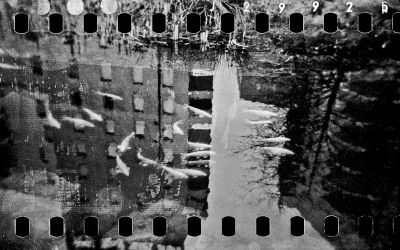 Kois
Holga 120 - HP5+ ultra périmée et bobinée maison
