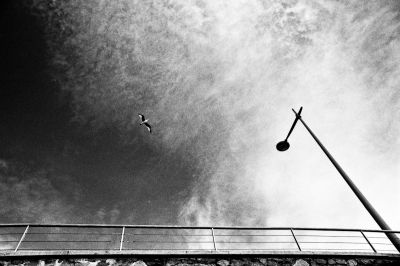 ...
Nikon FE2 24mm & polarisant - superpan 200@
