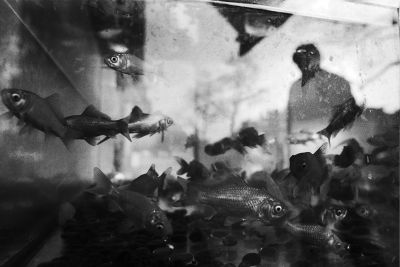 Big fish
Nikon Fe2 - 24mm Ais
Kodak Plus X @125 périmée de 10 ans
Scan de néga 
Mots-clés: street Fe2