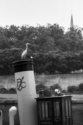 patapont
Nikon FE2 105mm - HP5+ périmée 400@200
Mots-clés: Nikon FE2