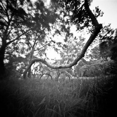 #5 - Participation au Concours Juin 2012 - "Le détour"

