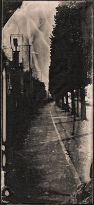 Voies ferrées
Wet plate collodion, Ambrotype 10x22cm 
