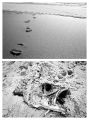 Concours-Sept-2012-Gekos~0.jpg