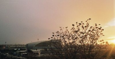 Par ma fenêtre
Prise au Minox 35 GL
Mots-clés: Nantes Minox