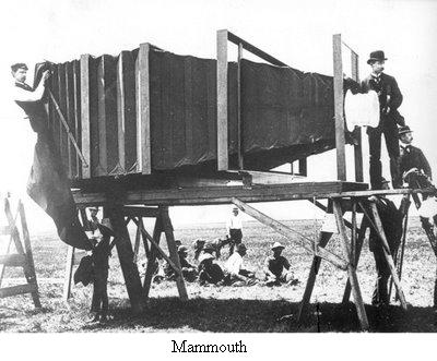 Mammouth
