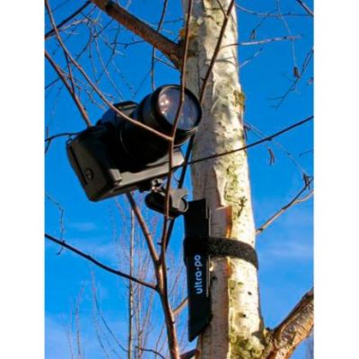 Accrochage appareil sur tronc d'arbre
