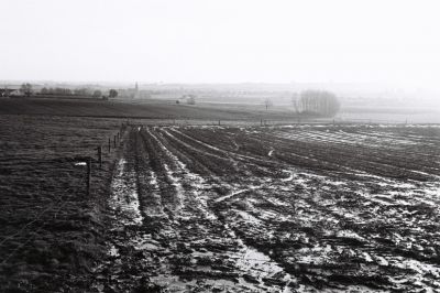 Ypres 1

