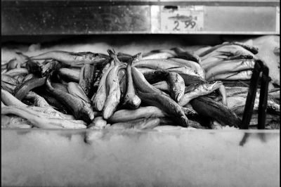 Poissonnerie P@dh recadrée
