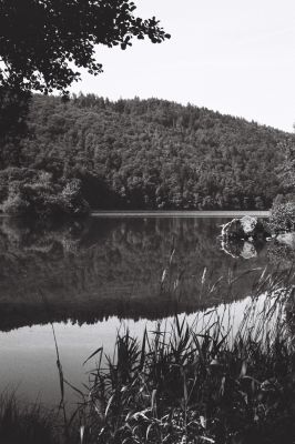 Reflets sur le lac Chambon (2)
