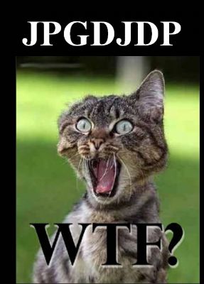 wtfcat2
