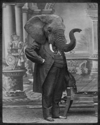 Anthropomorphisme 5
