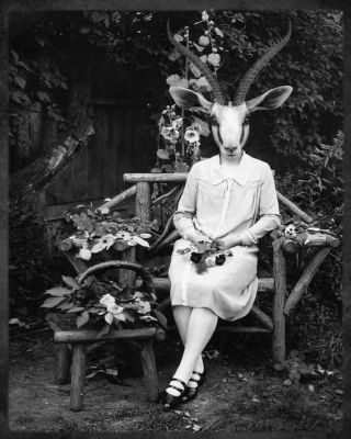 Anthropomorphisme 3
