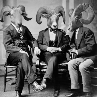 Anthropomorphisme 2
