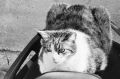 Copie_F1000032.JPG