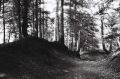 Le_sentier_des_mille_gouttes_(Le_Mont-Dore).JPG