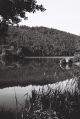Reflets_sur_le_Chambon_(1).JPG