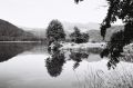 Reflets_sur_le_Chambon_(2).JPG