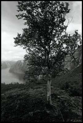 25img064.jpg