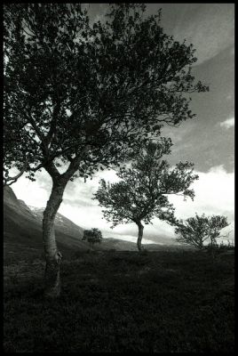 28img076.jpg