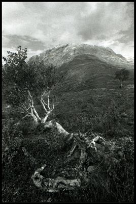 29img077.jpg