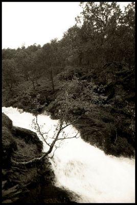 2img001.jpg