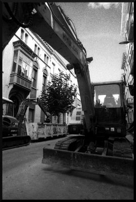 img210.jpg
