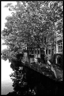 img240~0.jpg