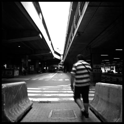img331.jpg