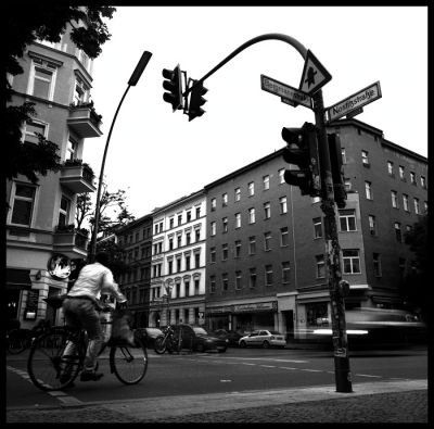 img337.jpg