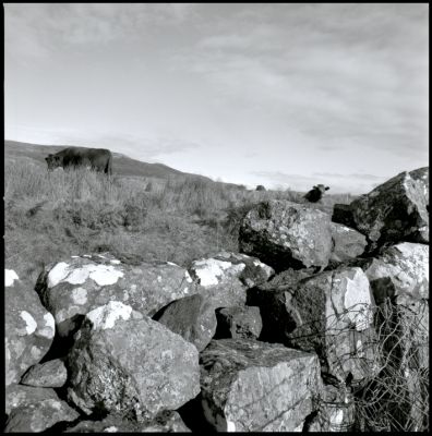 img432.jpg