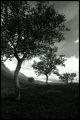 28img076.jpg