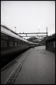 3img011.jpg