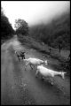 6img018.jpg